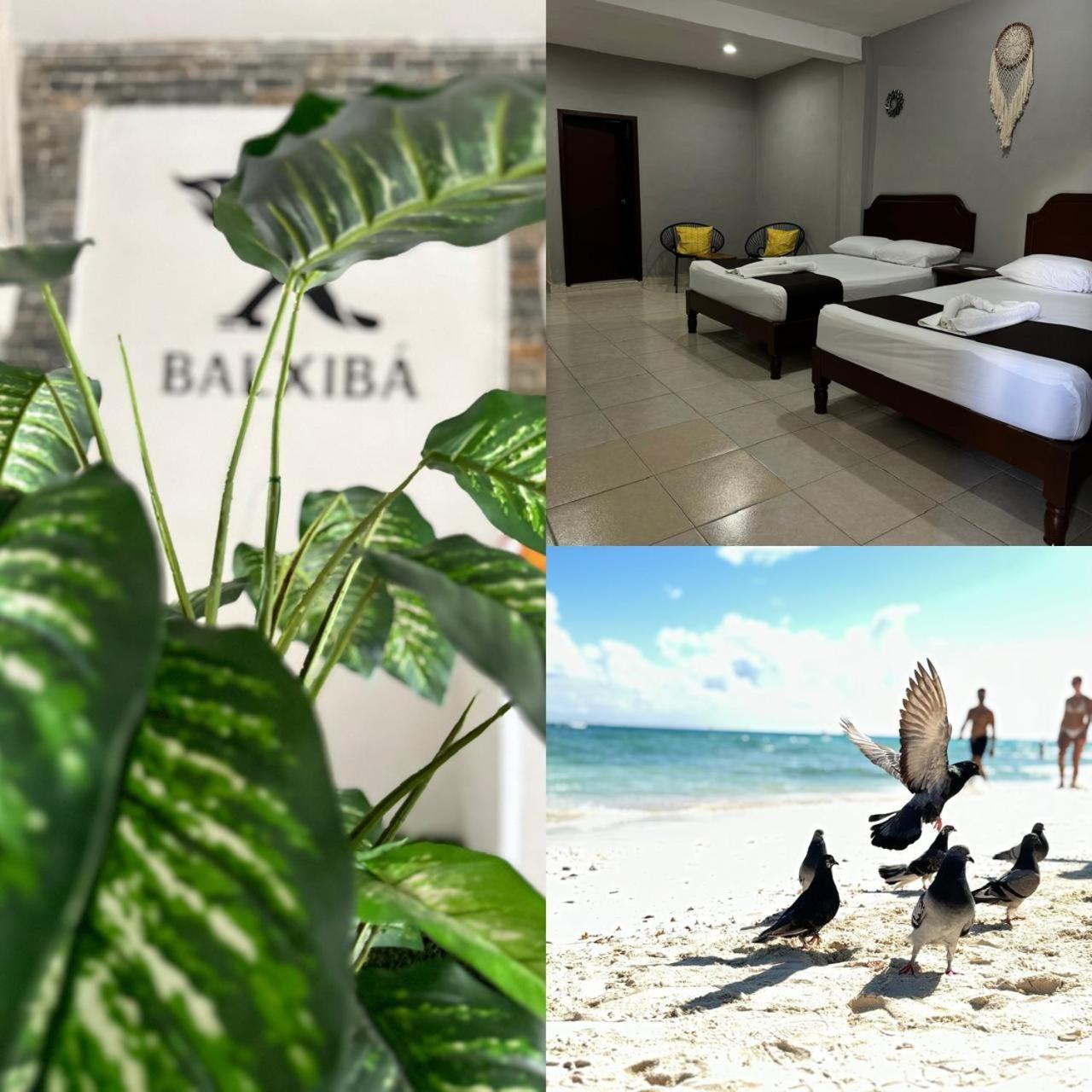 Hotel Balxiba Плая дел Кармен Екстериор снимка